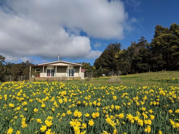 Mountain Blue Guest House image 1