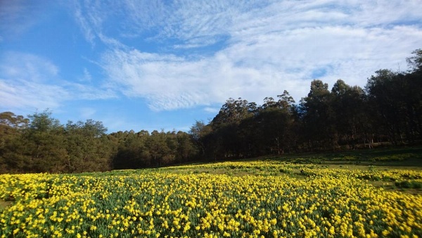 Mountain Blue Guest House image 21