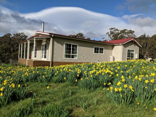 Mountain Blue Guest House image 5
